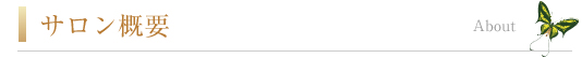 サロン概要