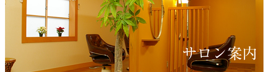 サロン案内